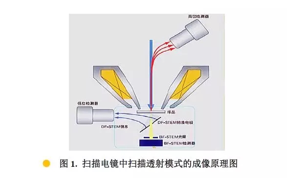 河池扫描电镜